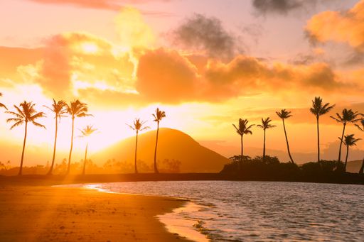 A beautiful view of a beach with high palm trees and a sunrise background in Honolulu, Hawaii
