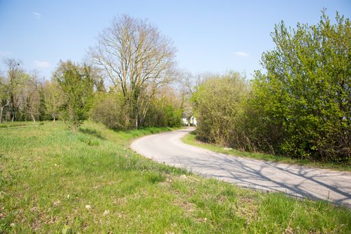 A high angle shot of a rural landscape with a narrow road through a field with trees on a summer day