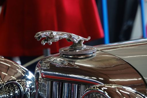 Close-up of a vintage car's hood ornament, showcasing a chrome leaping cat. Gleaming chrome and the red background offer a sense of luxury