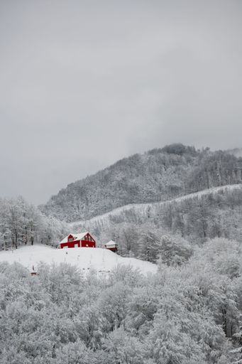 A vibrant red house stands out against a snowy landscape with frosted trees and hills under a cloudy sky.