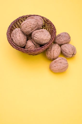 Shot of whole walnuts isolated on a yellow  background with text space