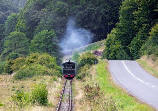 An old narrow train with tourists from Sovata resort - Romania. It transports passengers between the resort and Campul Cetatii village