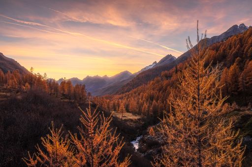 Autumn landscape view of a mountain valley with golden larches at sunset in Lotschental Wallis, Switzerland