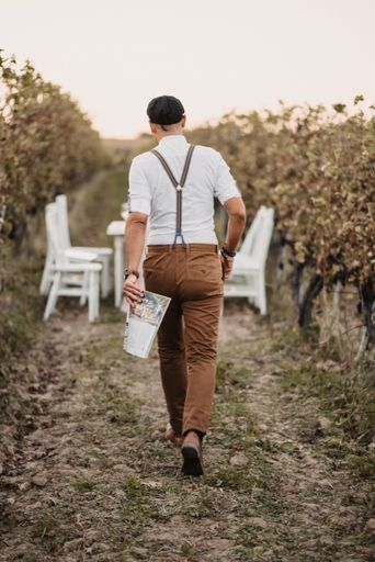 A vertical shot of a man walking in the vineyard field. Back view.