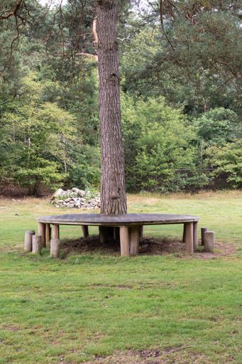 A vertical shot of a park landscape with wooden platform around a tree in the meadow