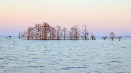 Serene sunset over a tranquil lake with silhouetted trees reflecting on the water surface, creating a peaceful and calming scene.