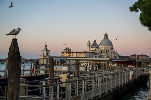 A scenic view of Venice's Grand Canal with Basilica di Santa Maria della Salute at sunset, featuring seagulls and water taxis.
