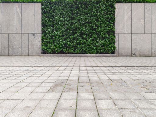 A building's yard with a green wall and concrete floor