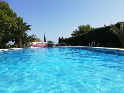 The beautiful crystal azure water of a swimming pool surrounded by trees on a sunny day