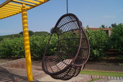 The outdoor hanging swing chair in the yard on a sunny day