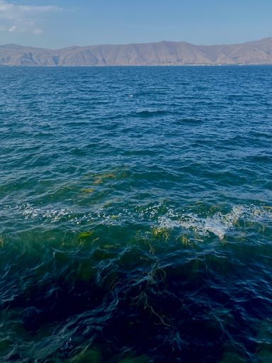 A vertical shot of crystal clear sea waters