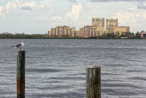 A seagull perched on a wooden post with a backdrop of colorful buildings across a calm river under a cloudy sky.