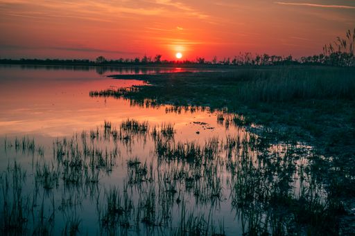 A beautiful view of a lake surrounded by greens gleaming under the sunset