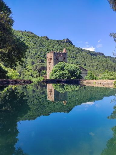 a vertical shot of a riverside tower with water reflection in dense forest