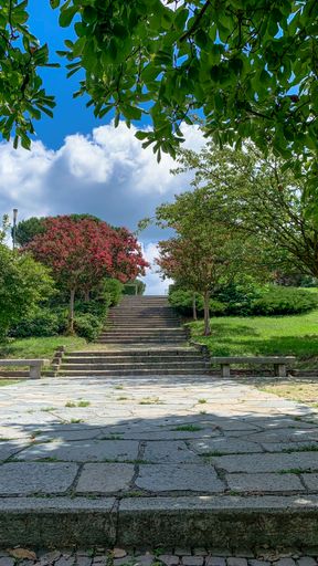 A vertical shot of stone stairs in Park Europa in Turin, Italy