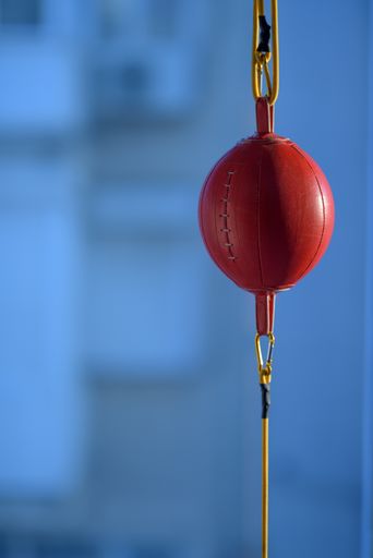 A vertical closeup of a red speedball under the sunlight with a blurry background