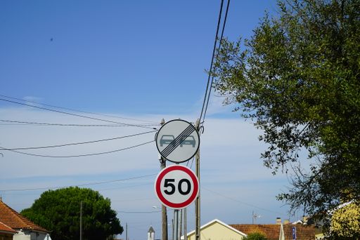 An "End of no-overtaking zone" sign above a "Maximum speed limit 50" sign on the road