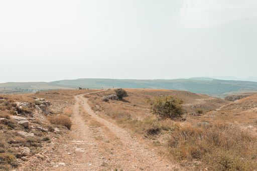 A country road through an empty steppe at dawn