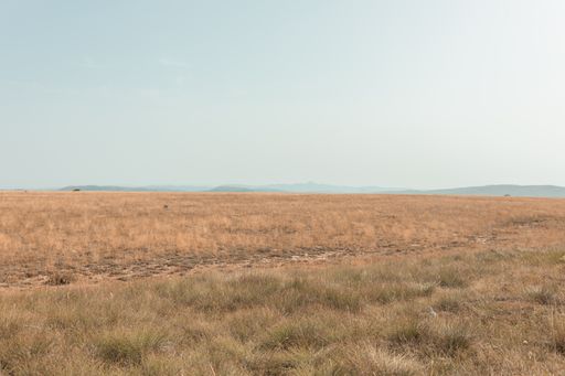 A tranquil landscape of an empty steppe at dawn