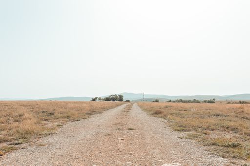 A country road through an empty steppe at dawn