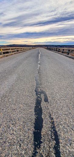 A vertical shot of an asphalt road through golden fields merging with sky in the horizon