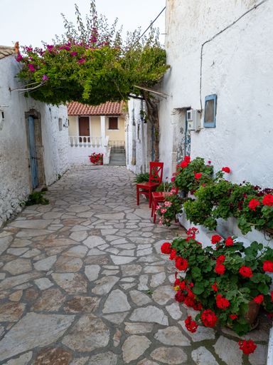 Charming narrow alley in a Mediterranean village with whitewashed walls, vibrant red flowers, and wooden chairs under a lush green canopy.