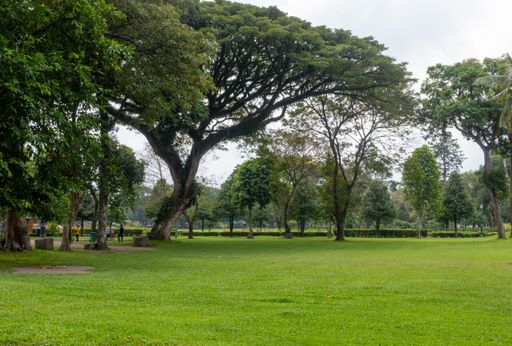 A beautiful park full of lush green trees under a cloudy sky in Indonesia