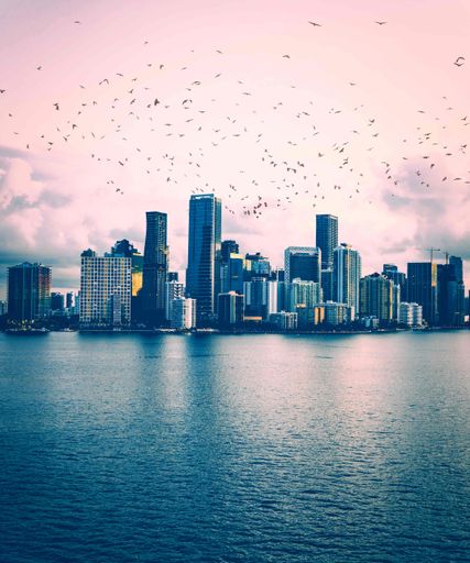 A breathtaking shot of a city over the water with a sky full of birds