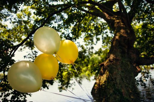 Bright yellow balloons on the background of a tree