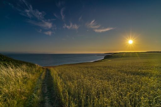 A landscape of a shore covered in greenery surrounded by the sea during the sunrise