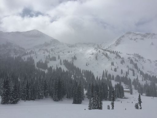 Snowy mountain landscape with dense pine forests under a cloudy sky