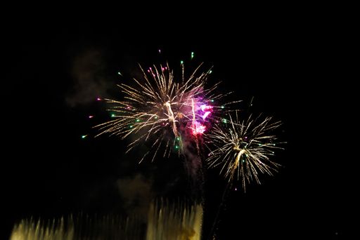 The vibrant fireworks burst against a dark night sky, showcasing colorful sparks and trails.