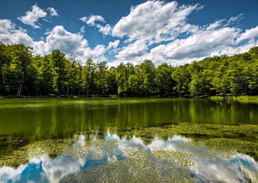 A landscape of a lake surrounded by greenery under the sunlight and a blue cloudy sky
