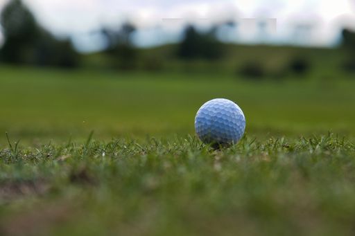 A shallow focus shot of a golf ball in a golf course