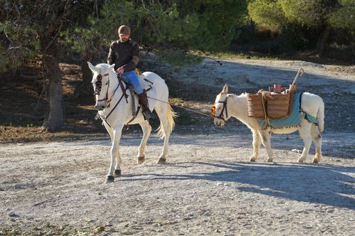 A person rides a horse and pulls a donkey with work tools behind him to go to the fields.
