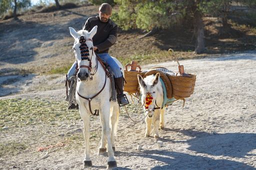 A man riding a white horse followed by a donkey with tools for the field and filling water, capturing rural life and transportation.