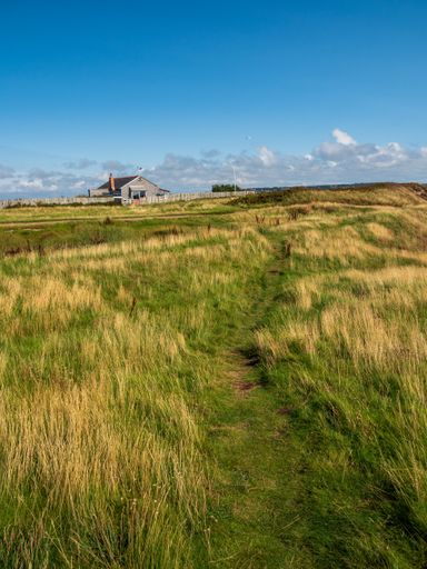 a vertical shot of wheat field and a rural house background under cloudy sky in Hilbre Island, UK