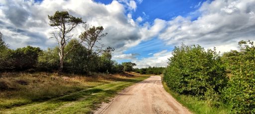 A natural view of an unpaved road in the countryside under a cloudy sky