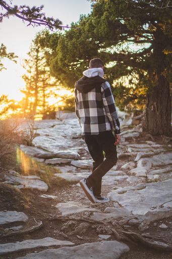 A young man walking on the rocky trail in a forest on a sunny morning