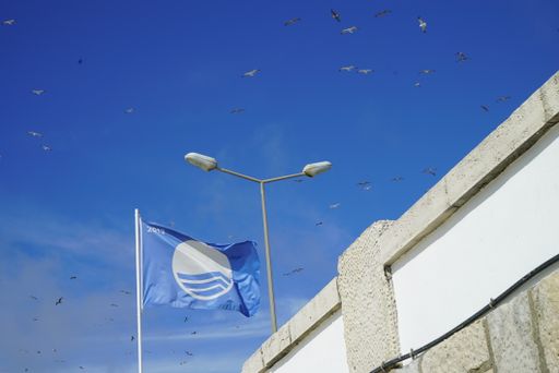 A low angle shot of a flag and street lights with birds flying over building