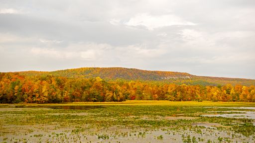 An aerial shot of the Minsi Lake in the fall Northampton County, Pennsylvania