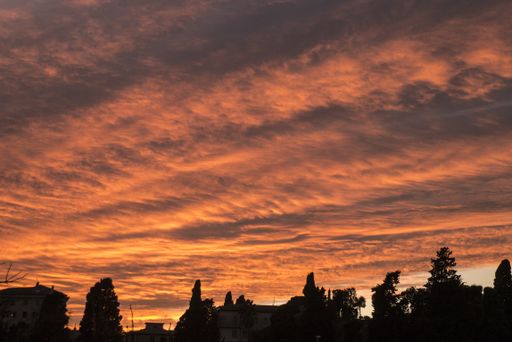 A beautiful shot of silhouettes of trees and buildings under a cloudy sky at sunset