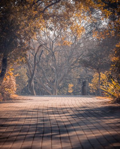 Walking on a path through the Walter Sisulu National Botanical Garden in Johannesburg, South Africa.