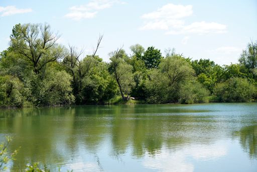 A high angle shot of a river with fresh green trees on a sunny day