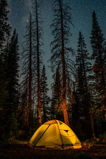 A vertical shot of a tent in the forest at night under a starry sky