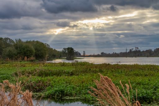 A beautiful view of the flowing river surrounded by greens and trees gleaming under the sunrays