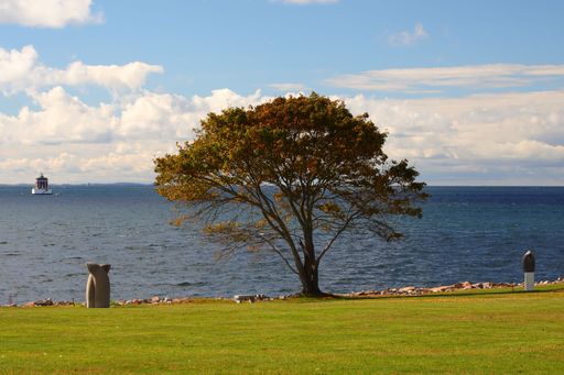 A scenic view of a lone tree by the sea with a distant ship under a partly cloudy sky, showcasing nature's tranquility.