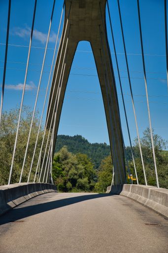 A vertical shot of an empty arched bridge surrounded by trees on a sunny day