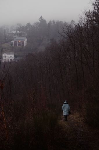 A vertical shot of an elderly lady walking in a rural area with dry trees on a foggy day