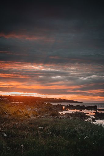 A vertical shot of rocky shore during the sunset